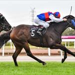 Soho Ruby Retired Soho Ruby Retired